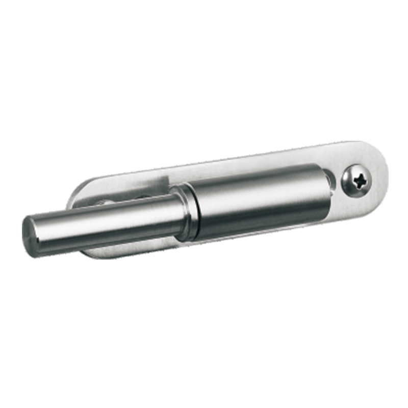 Glass Door Pivot Hinge